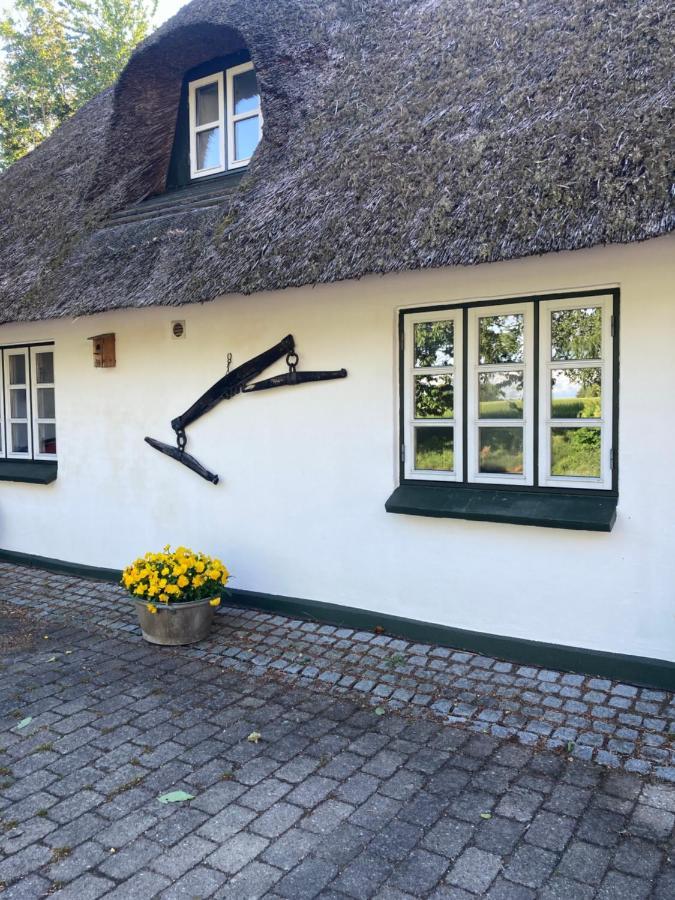Skovlyset'S B&B Juelsminde  Exterior foto